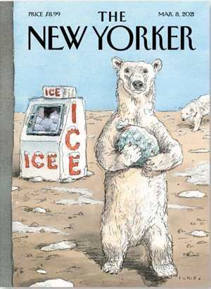 Polar_Opposite_Bear_New_Yorker_HQ_crop