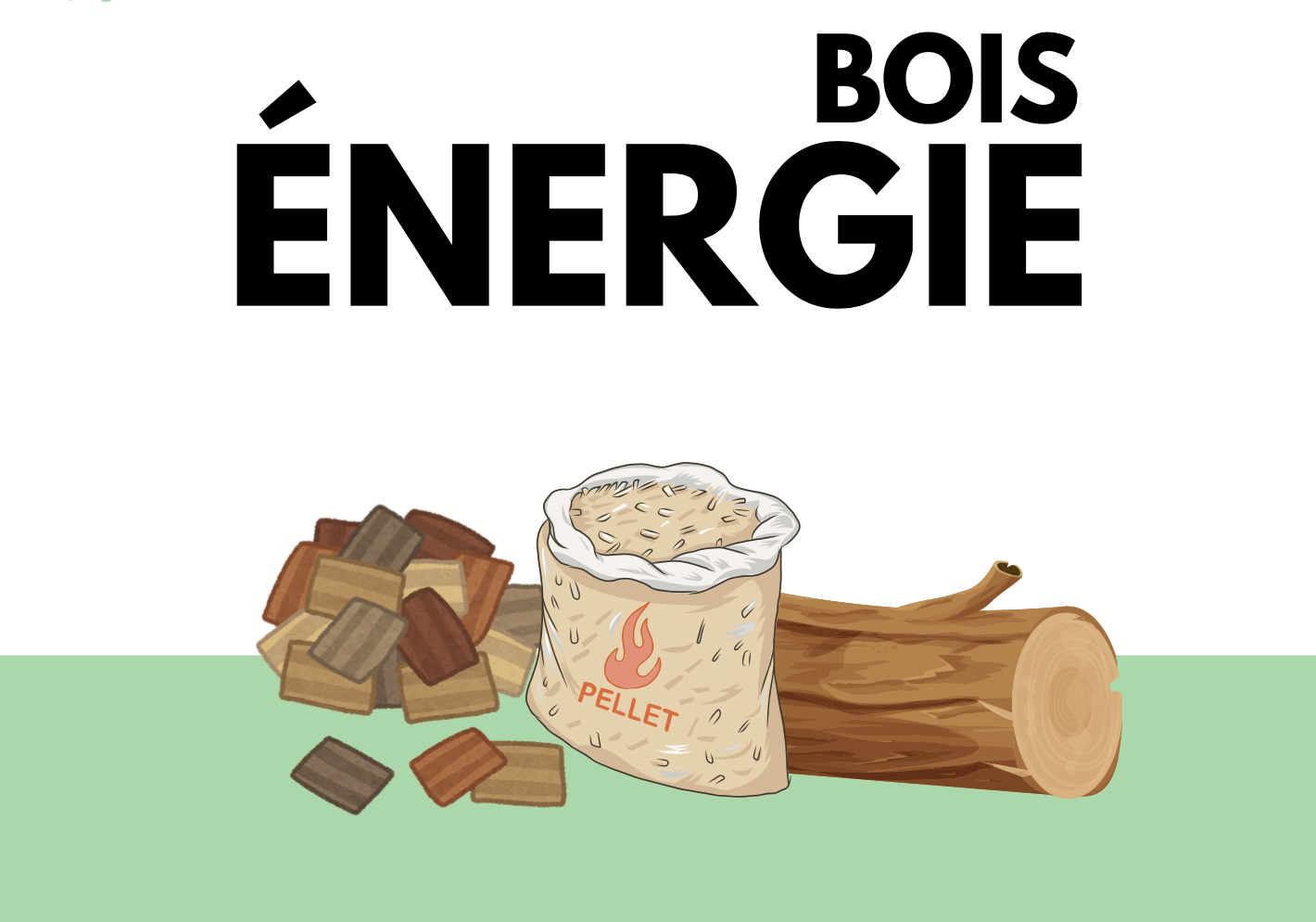 Capture d’écran rapport bois energie