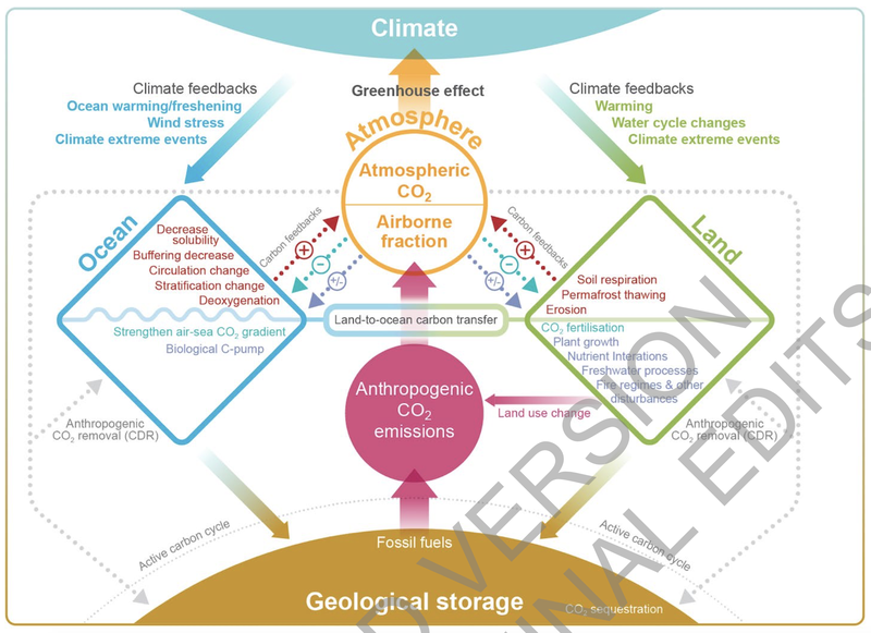 Figure 11 - Principaux composants, processus et voies qui régissent les concentrations historiques et futures de CO2, ainsi que les rétroactions carbone-climat dans le système terrestre couplé (FR.5.2).png
